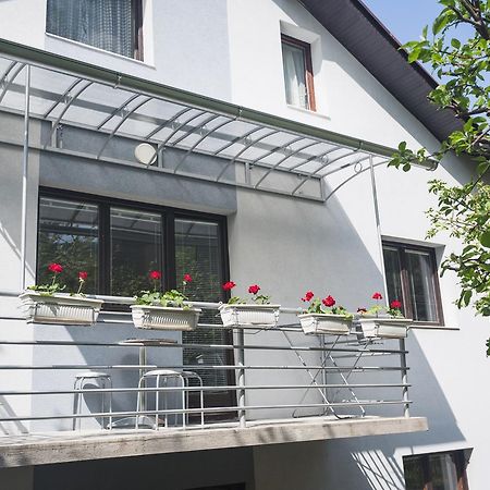 Guest House Sokodream Soko Banja Bagian luar foto